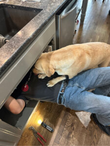 WATER LEAK DETECTION